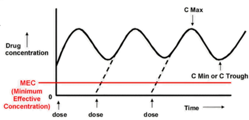 Cmin/Ctrough in steady-state concentration-time curve Cmin/Ctrough in steady-state concentration-time curve